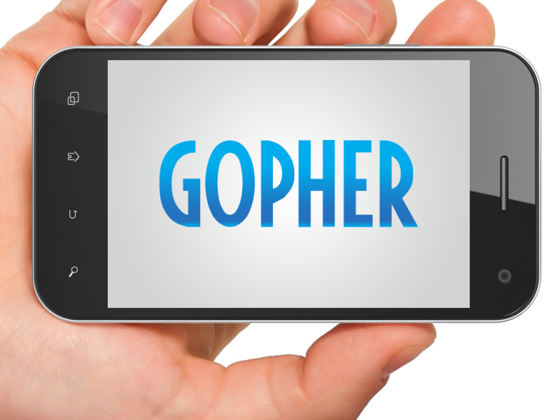 Gopher Indonesia, Cara Beriklan Paling Efektif